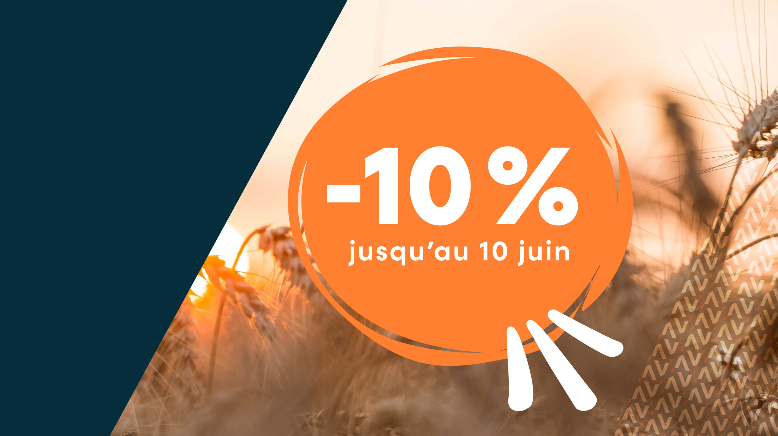 vignette -10%
